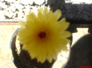 DSC01936