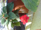 DSC01943