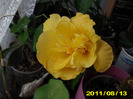 Picture 005