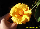 Picture 001