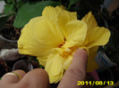 Picture 013