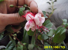 Picture 019
