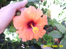 Picture 005