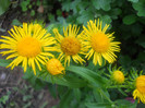 DSCN1859
