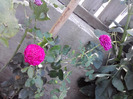 P140811_09.39_[02]