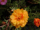 DSC07546
