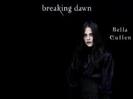 images (9)