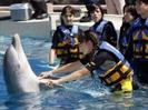 images (10)