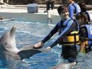 images (15)