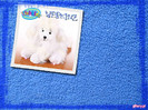 2-WeBkInZ-7638[1]