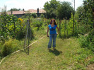DSC01833