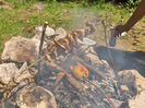 apadambovicioara 2011 006