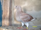 poze august 2011 005