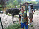ANTONIO SI MAMI IN BRASOV 06.08.2010 144