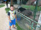 ANTONIO SI MAMI IN BRASOV 06.08.2010 151