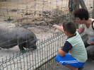 ANTONIO SI MAMI IN BRASOV 06.08.2010 176