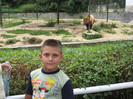ANTONIO SI MAMI IN BRASOV 06.08.2010 192