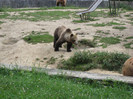 ANTONIO SI MAMI IN BRASOV 06.08.2010 195