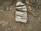 MUNTE ARGES 22.07.2011 139