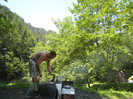 MUNTE ARGES 22.07.2011 208
