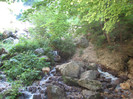 MUNTE ARGES 22.07.2011 213