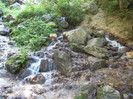 MUNTE ARGES 22.07.2011 214