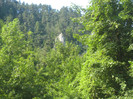 MUNTE ARGES 22.07.2011 248
