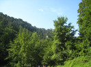 MUNTE ARGES 22.07.2011 249