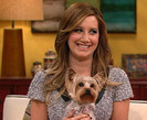 Ashley Tisdale (1)