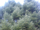 DSC01862