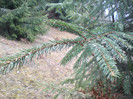 DSC01919