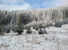 DSC01955
