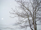 DSC02476
