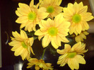 DSC02526