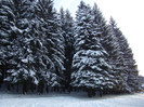 DSC02554