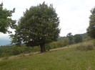 DSC03063