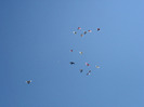 SAM_0478