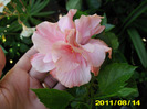 Picture 001