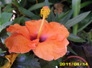 Picture 004