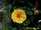 Picture 013
