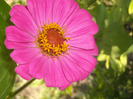 DSCN7268