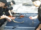 DSCN3548