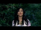 Demi Lovato (209)