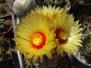 DSCF8689