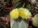 DSCF8691