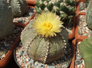 DSCF8693