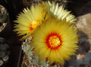 DSCF8701