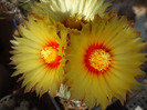 DSCF8702