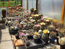 DSCF8703