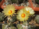 DSCF8721